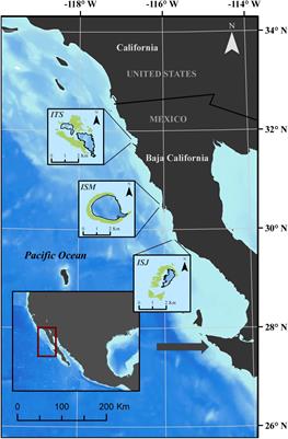 Extreme Marine Heatwaves Alter Kelp Forest Community Near Its Equatorward Distribution Limit